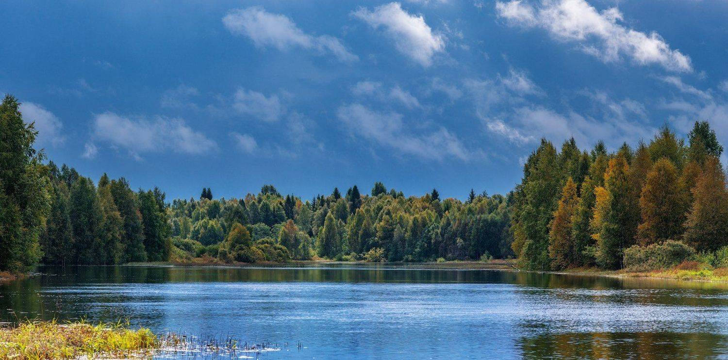 великий двор,вологодчина,кема,север,лето,, Роман Горячий