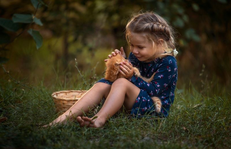 В лес за...рыжиками) фото превью