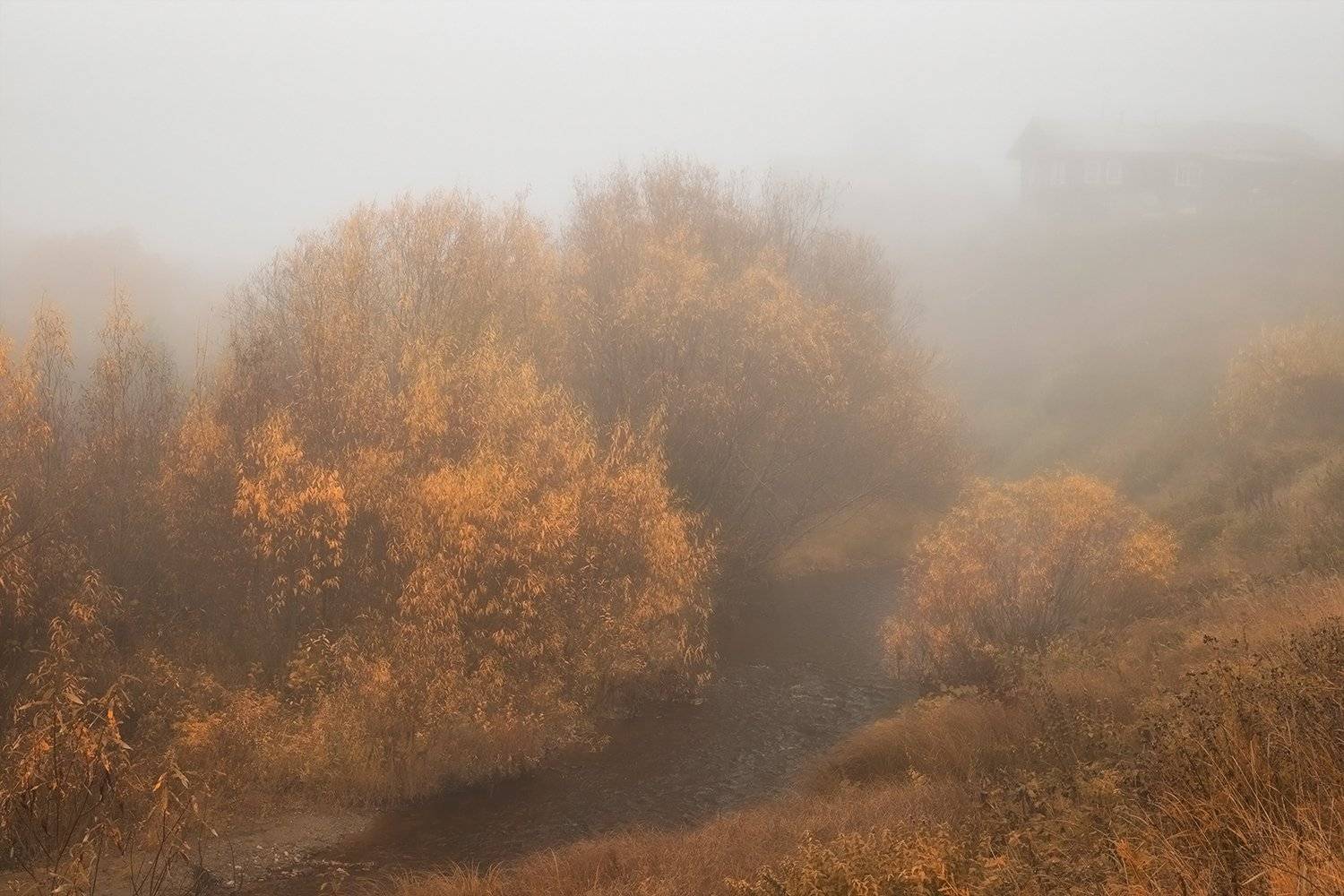 , Поташев Александр