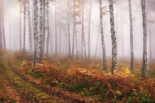 Улыбка осени