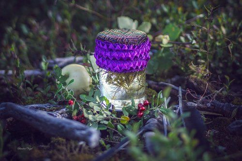 По тропе лесной ведьмы