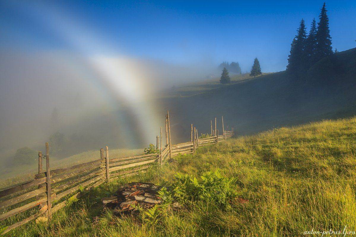 рассвет, туман, карпаты, горы, осень, Антон Петрусь