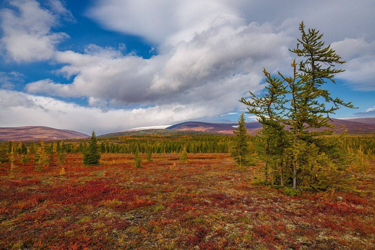 , Евгений Кужилев