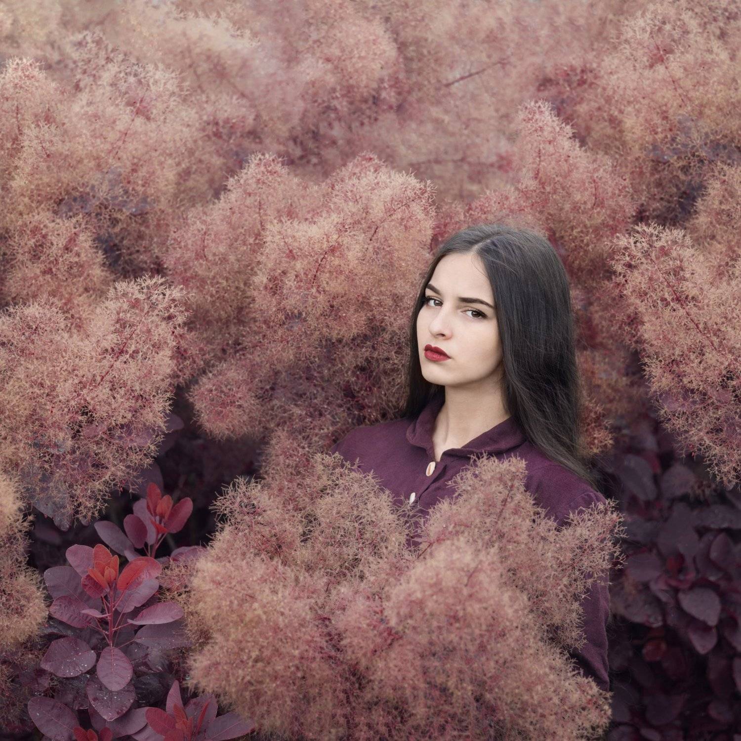 цветы и красивая девушка, Катарина Винниченко