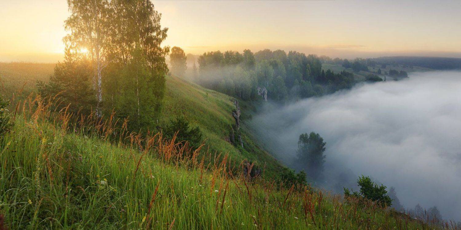 , Дмитрий Медянцев