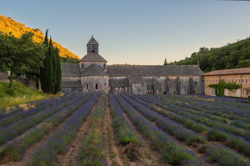 Поездка во Францию фото превью