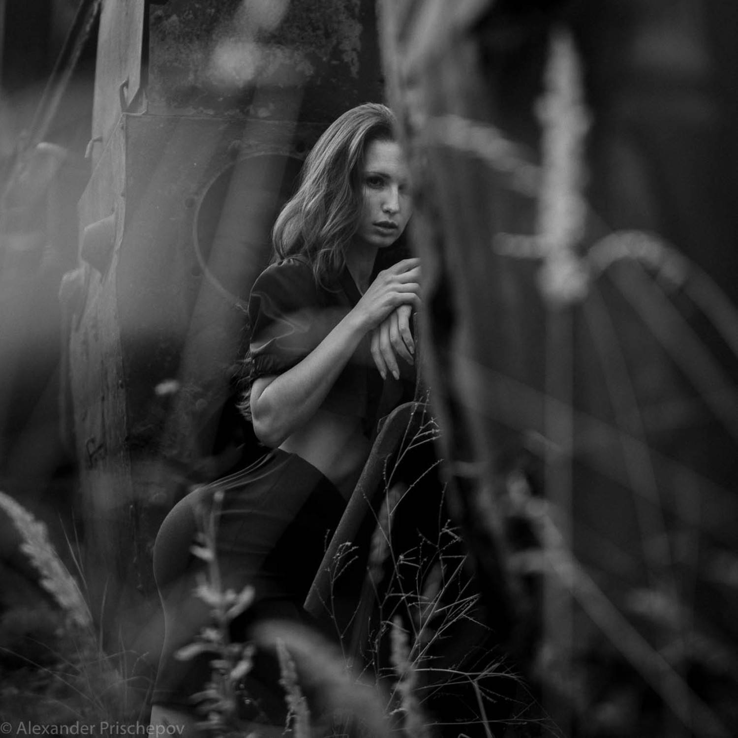 , Александр Прищепов