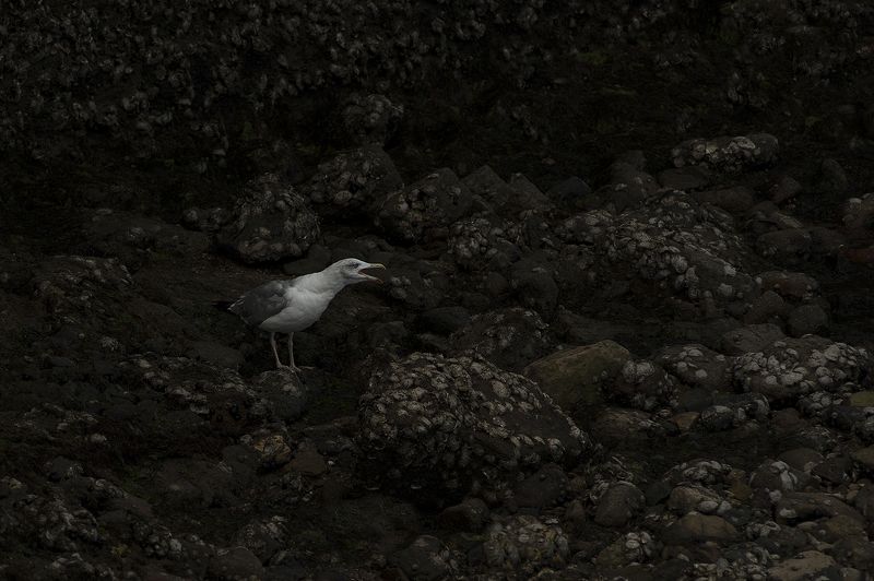 Fall of the day фото превью