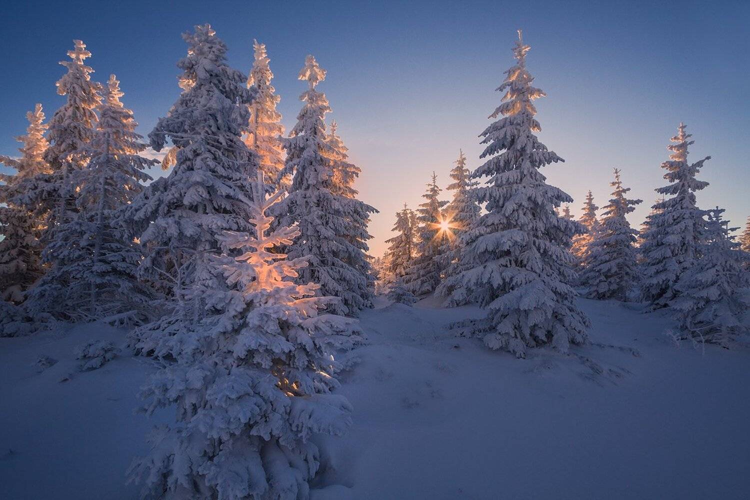 landscape,canon,winter,sunrise, Iza,Darek