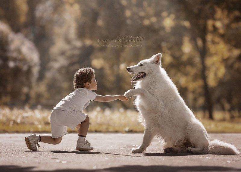 High Five, Tuco! фото превью