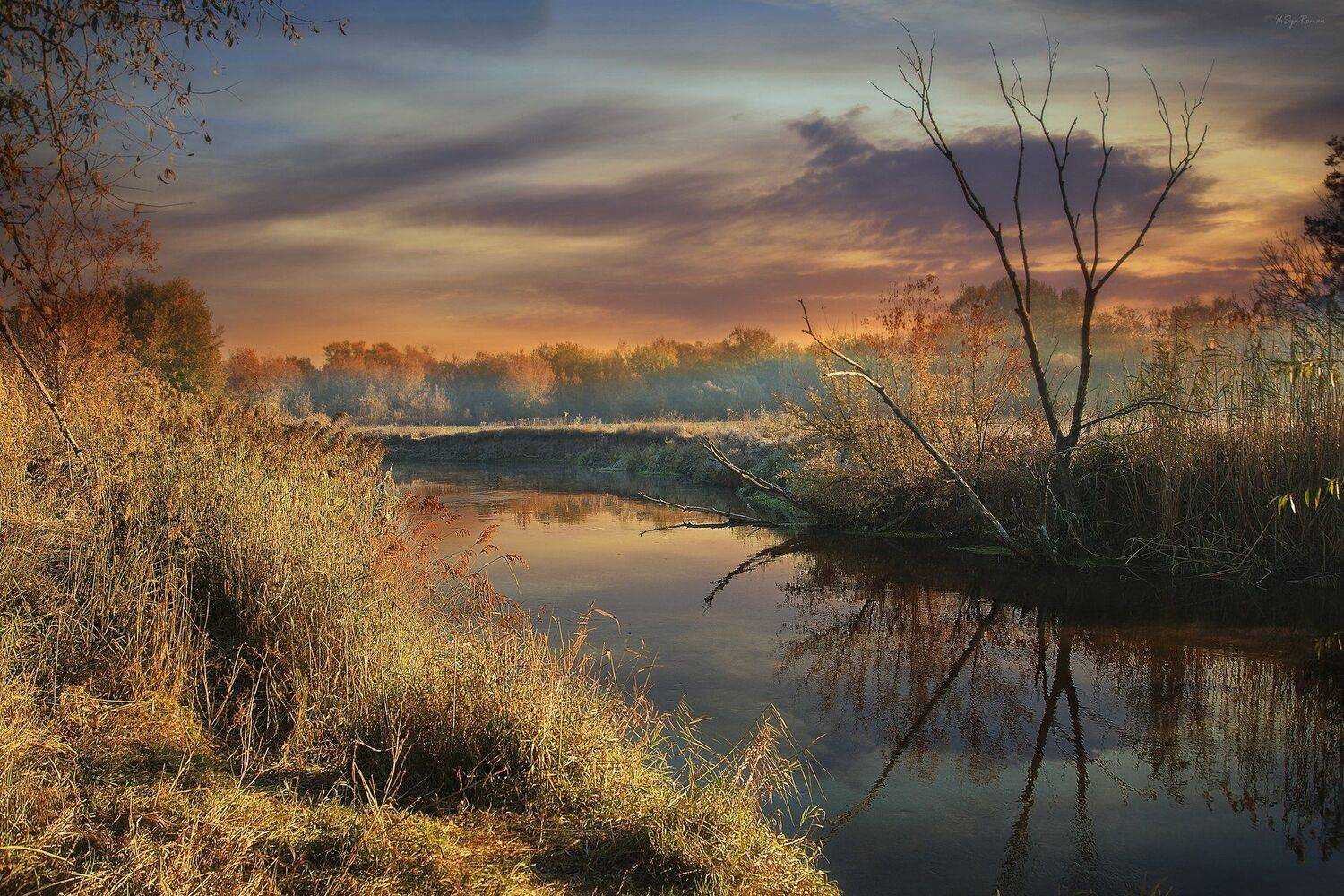 осень,утро,берег,река, Roma  Chitinskiy
