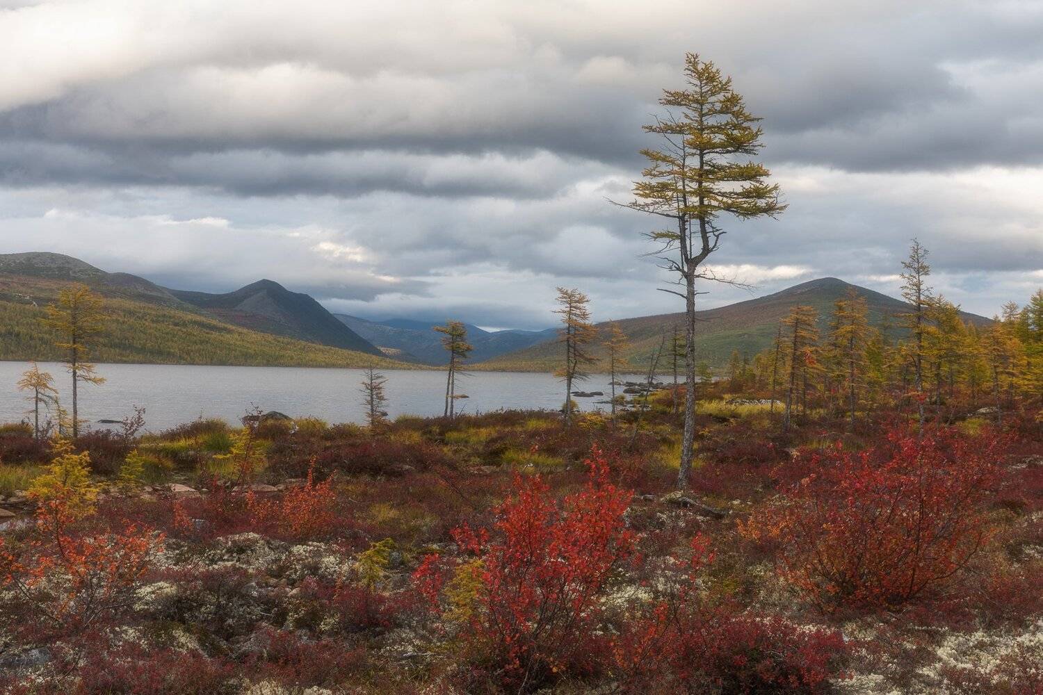 россия, колыма, осень, закат, магаданская, джека лондона, Марина Маликова