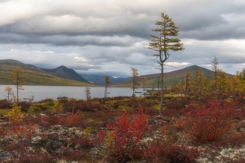 Осенняя палитра