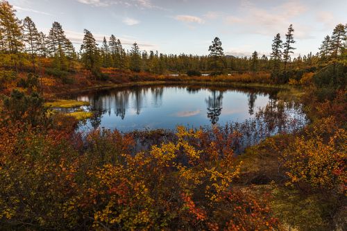 Потерянное зеркало