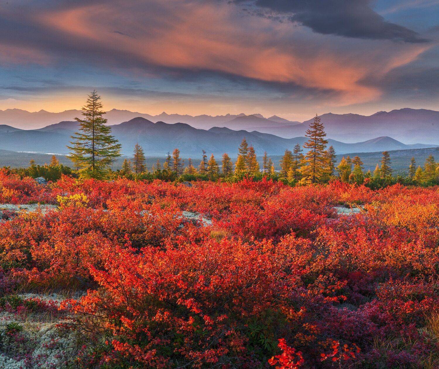 Колыма, озеро Джека Лондона, Владимир Рябков