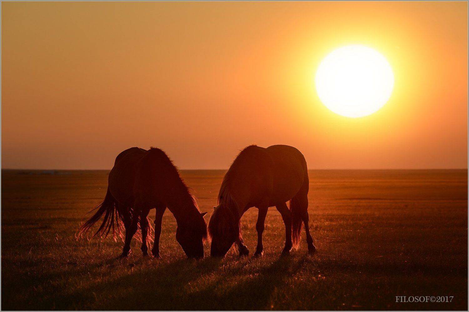 , Gennady Filosof Shatov