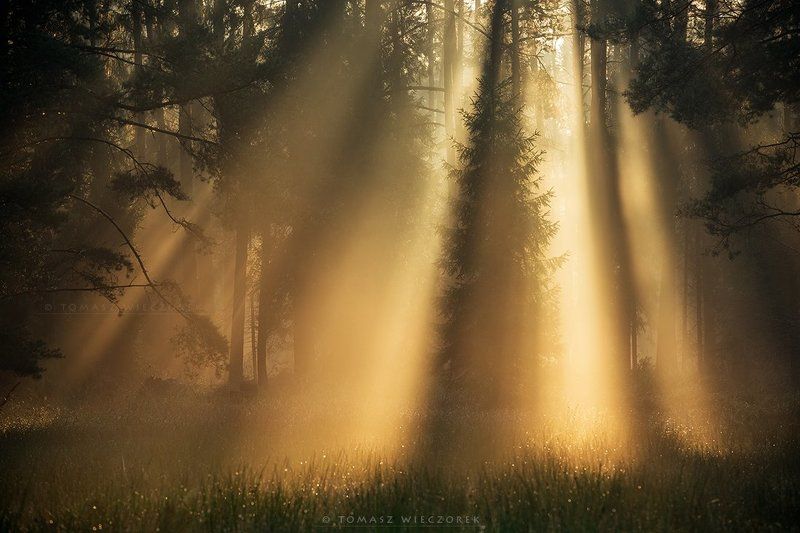 Beauty of nature
