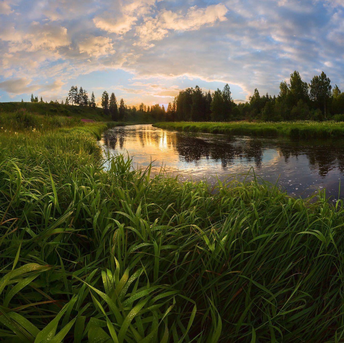 фототур, лето, ленинградская область, луг, трава, рассвет, река, облака, вода, отражение, роса,, Лашков Фёдор
