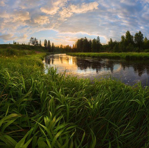 Роса на рассвете