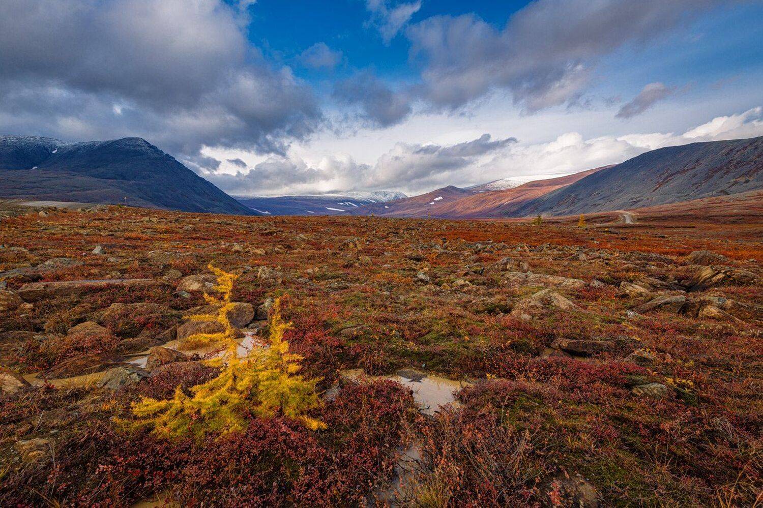 , Евгений Кужилев