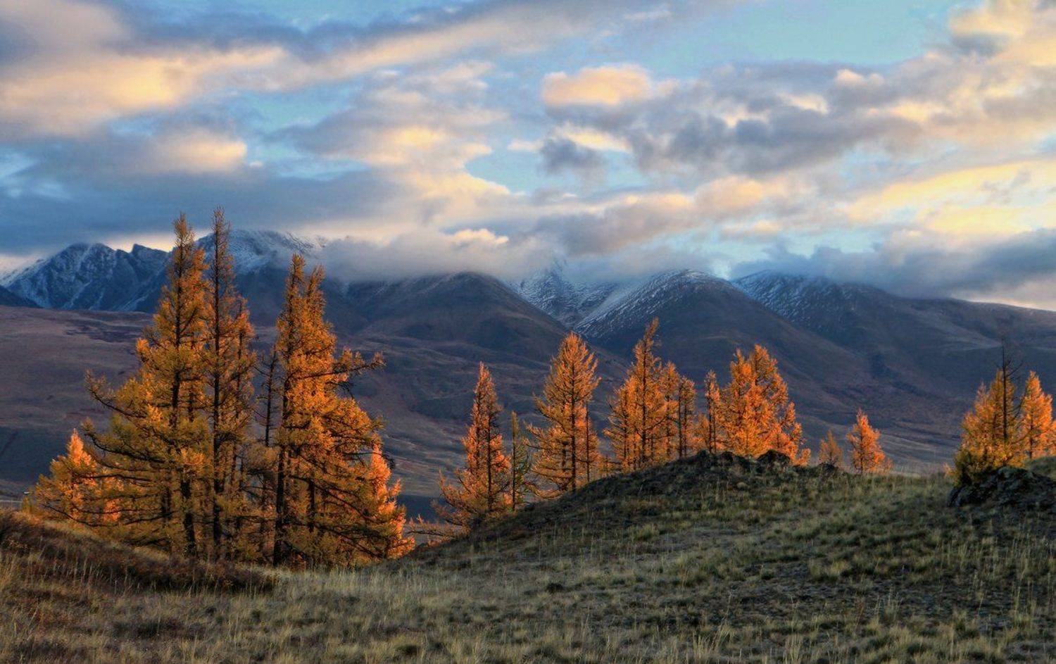 сибирь, алтай, горный алтай, курайский хребет, осень, утро, Галина Хвостенко