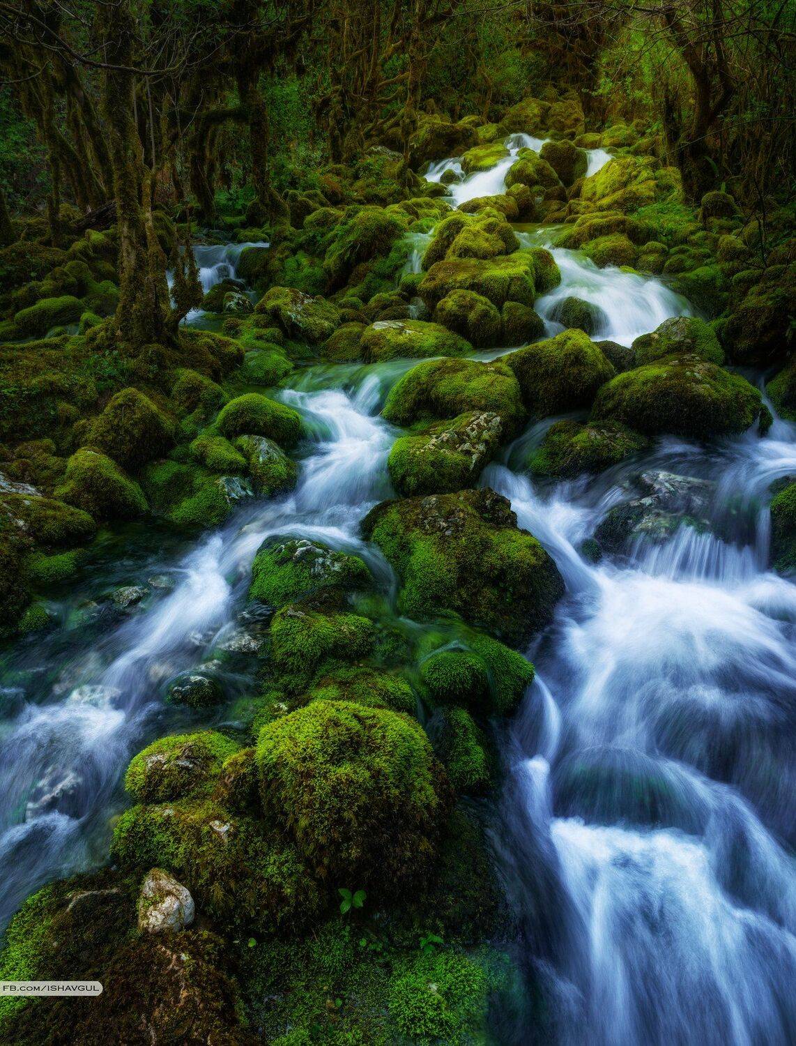 Грузия, Самегрело, Водопад, Весна, Мох, Река, Длинная выдержка, Панорама, Ираклий Шавгулидзе