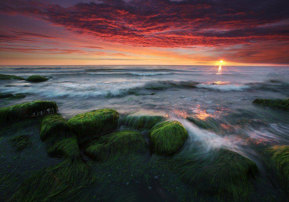 summer colors landscape kljuchenkow, Aleksandr Kljuchenkow