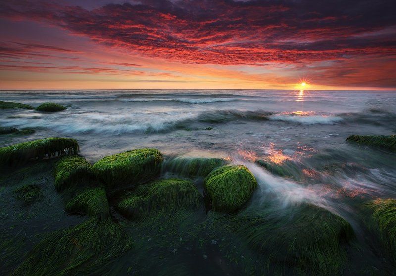 summer colors landscape kljuchenkow Summer colors фото превью