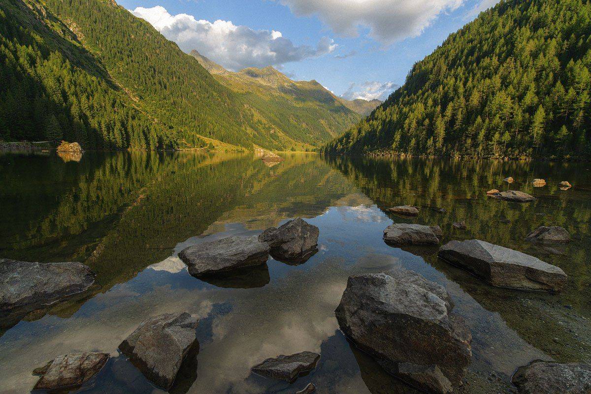 \"камни\", Nexter