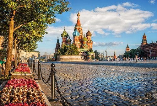Цветы на Красной Площади