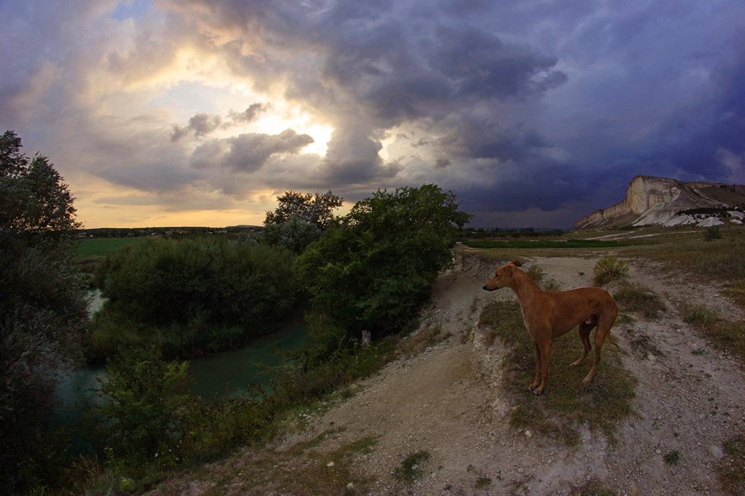 крым, аккая, белаяскала, Петр Косых