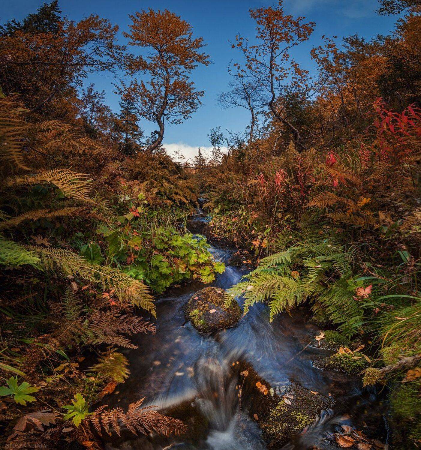 осень,панорама,пейзаж,россия,хибины,кировск,цвет,вода,свет,трава,красиво,перспектива, Виталий Истомин
