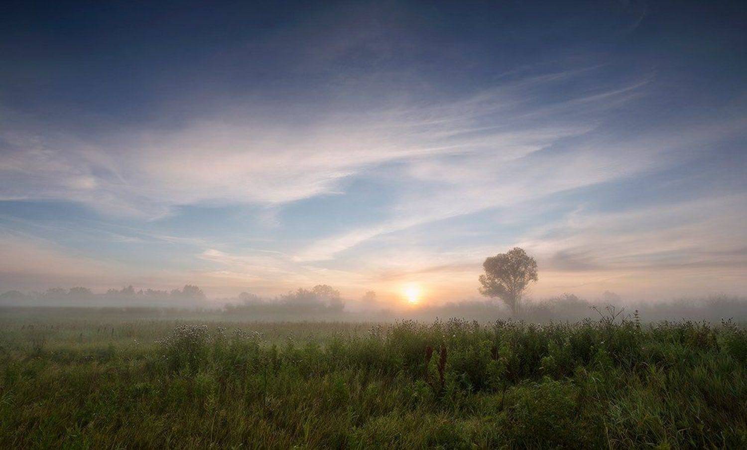 природа утро лето, Михаил Корнилов