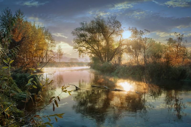 осень,утро,берег,река Красок осени игра ... фото превью