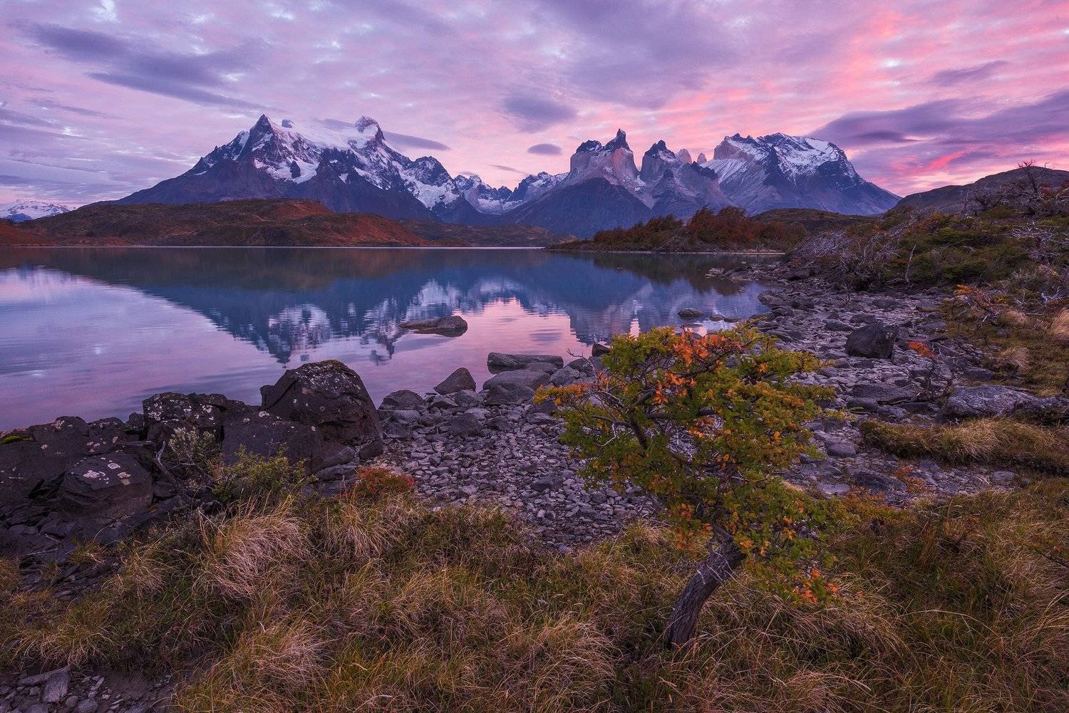 Патагония, Торрес дель Пайне., Владимир Рябков