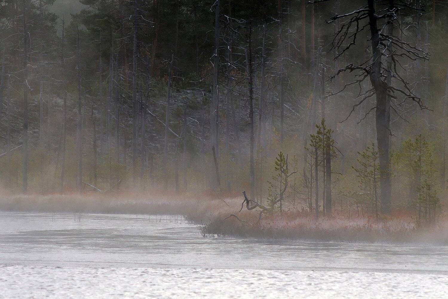 карелия, Виктор