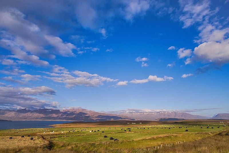 пейзаж, исландия, природа, путешествие, пастораль, лето,  iceland, landscape, trip, traveling Пастораль фото превью