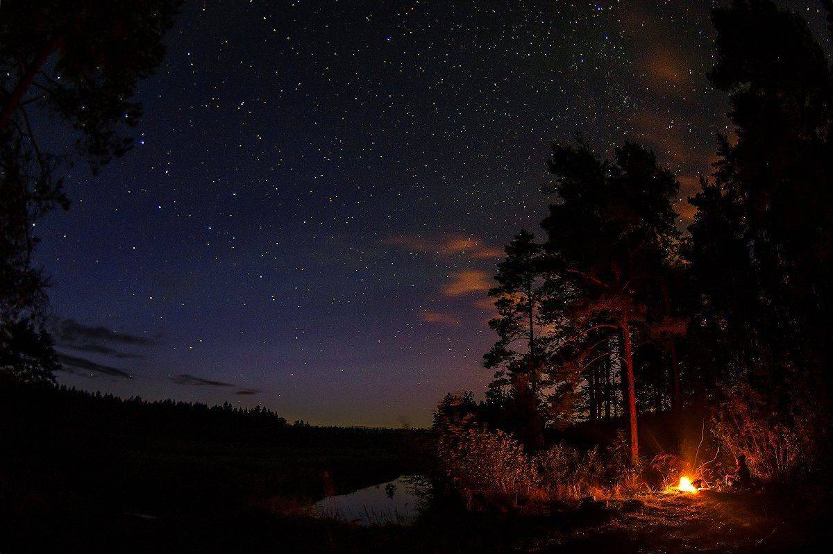 , Марина Мурашова