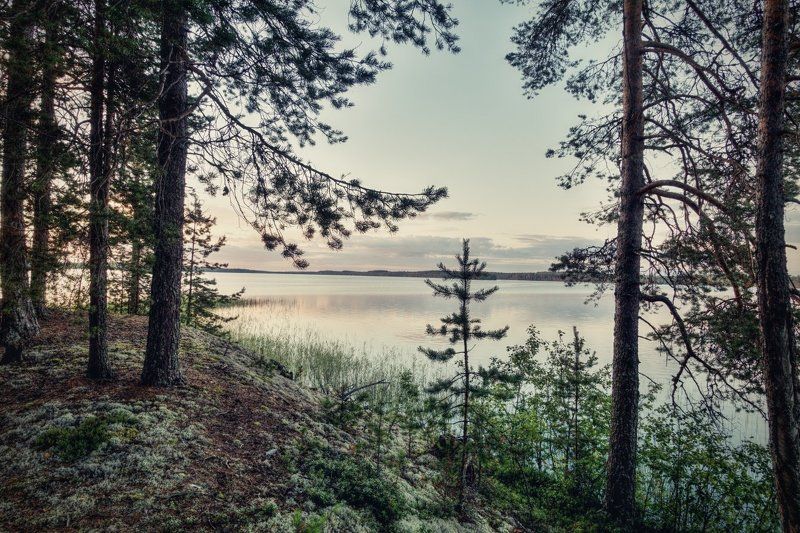 Вечер на озере Мярандукса #2 фото превью