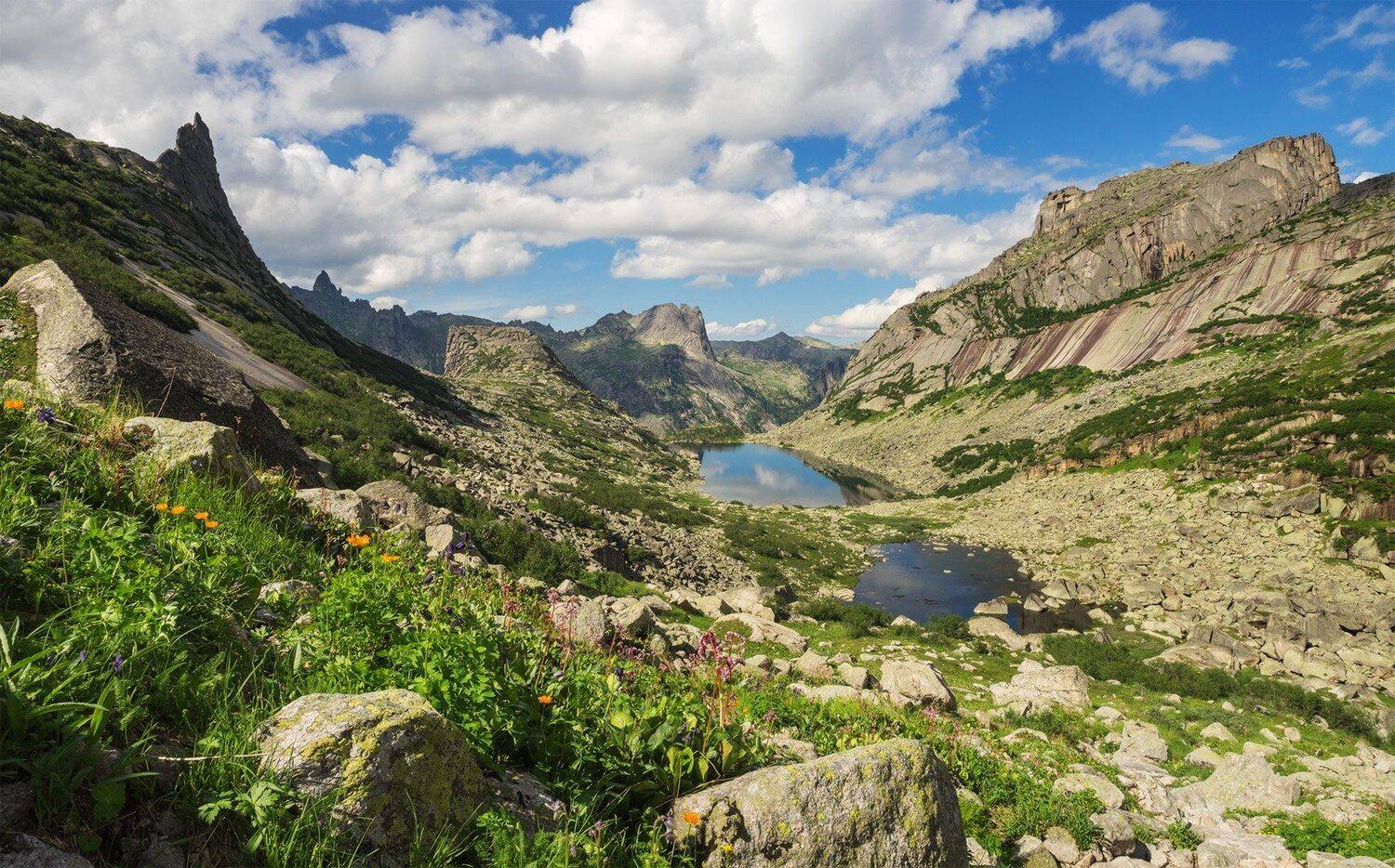 , Лещёнок Александр