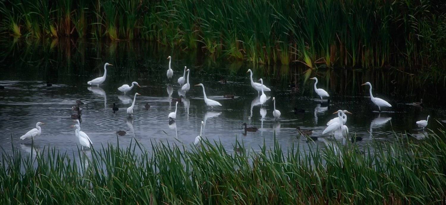 , Валерий Кондратов