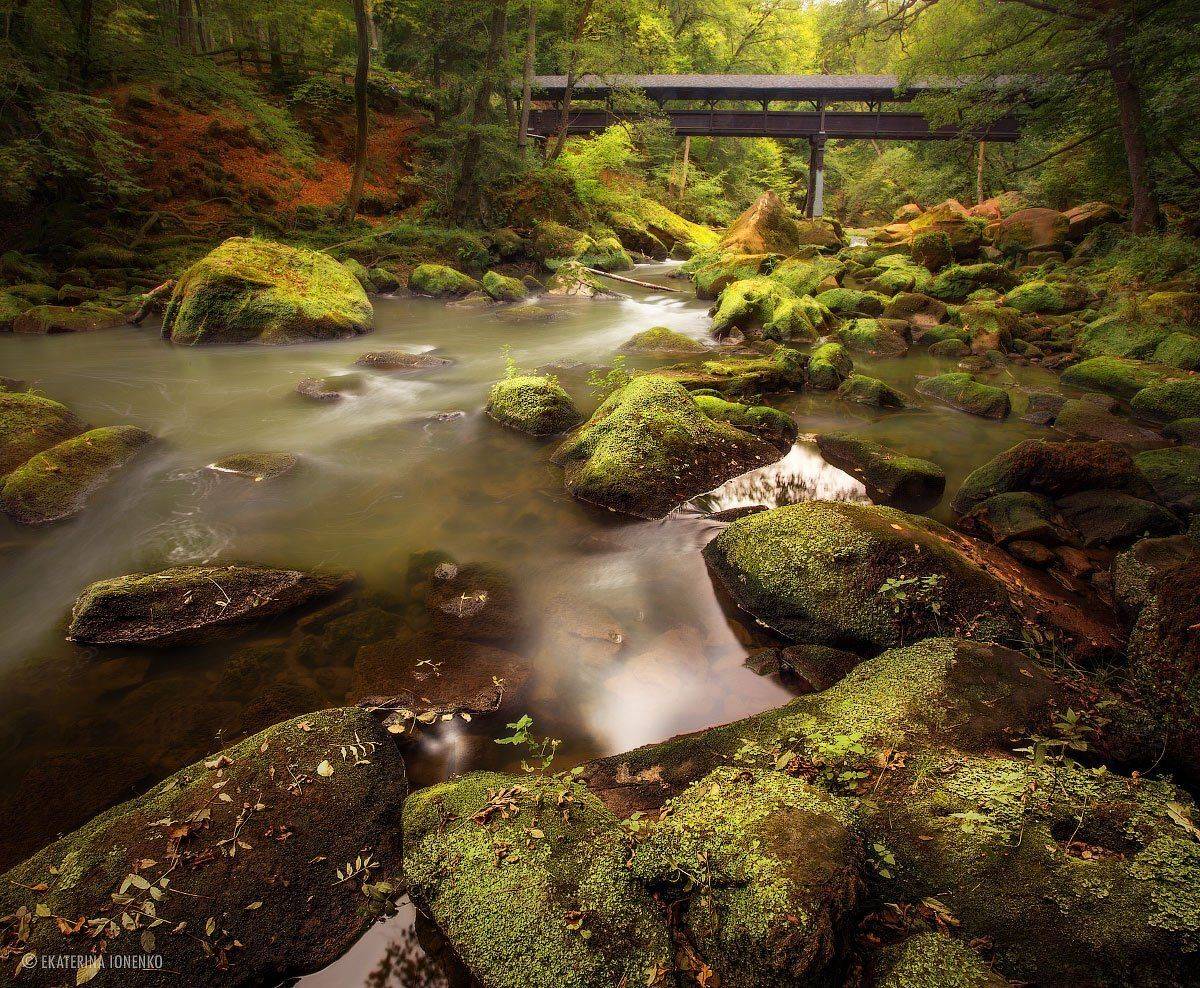 , Екатерина Ионенко