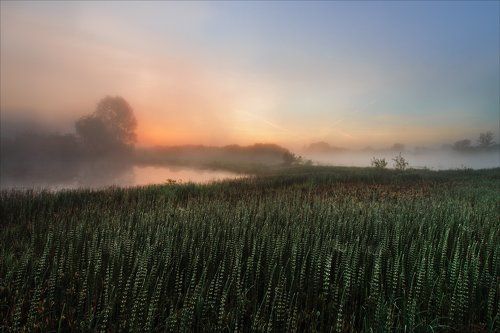 Утро на Днепре.