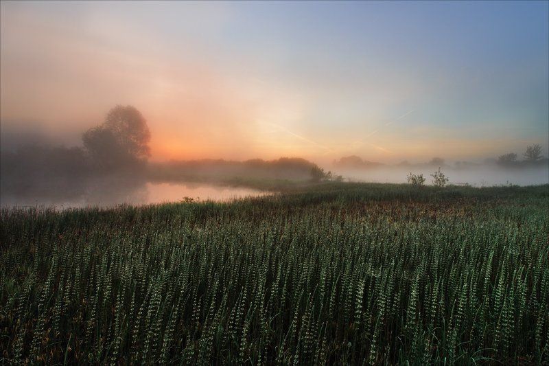 утро туман река днепр Утро на Днепре. фото превью