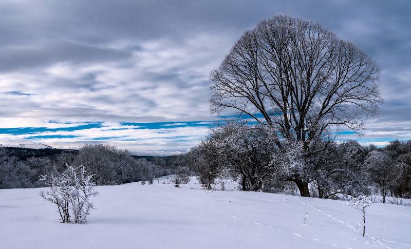 Скоро-скоро на луга... фото превью