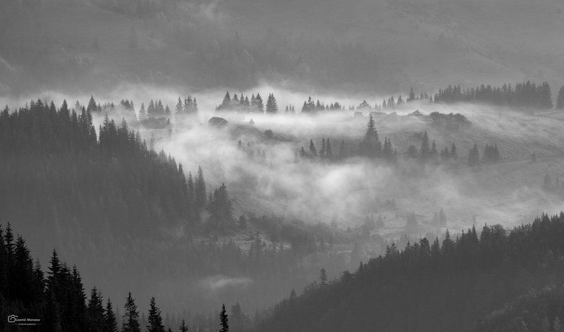 рассвет., , , туман., , , карпаты., , , горы. *** фото превью