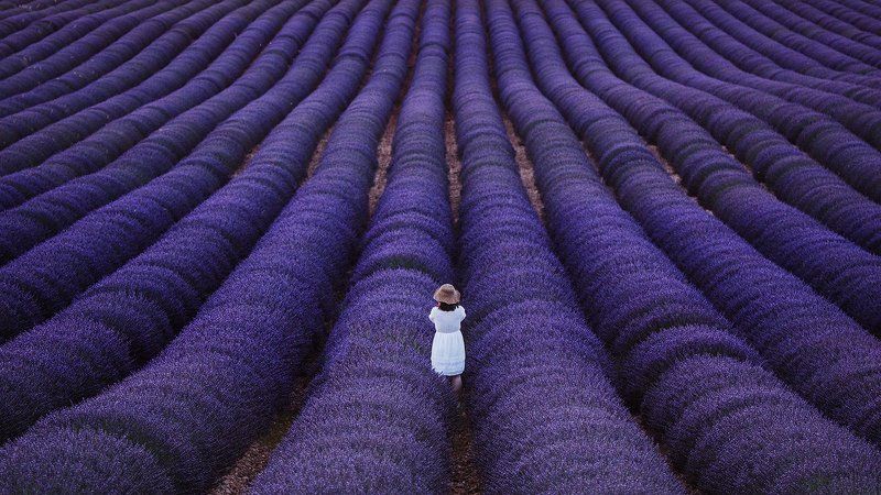 She фото превью