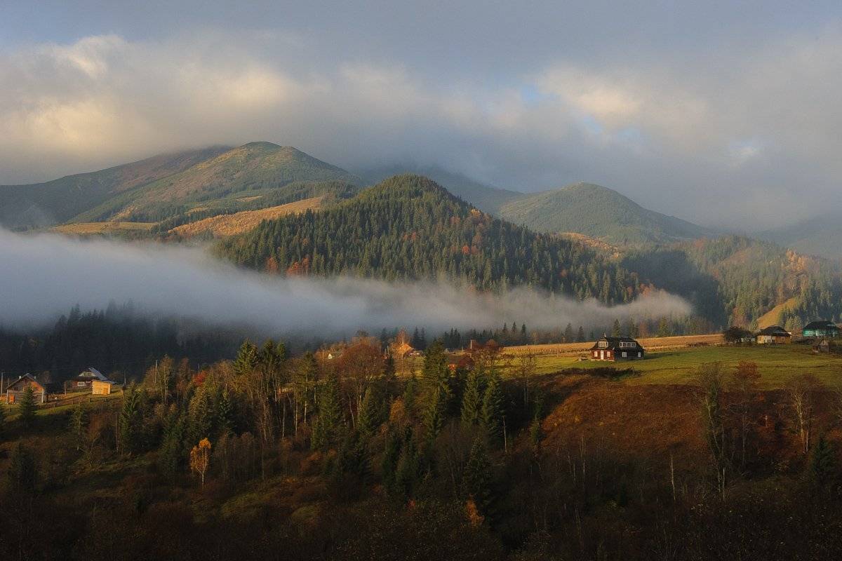 , Олег Логунов