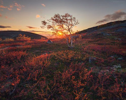 Прогулки по хибинам
