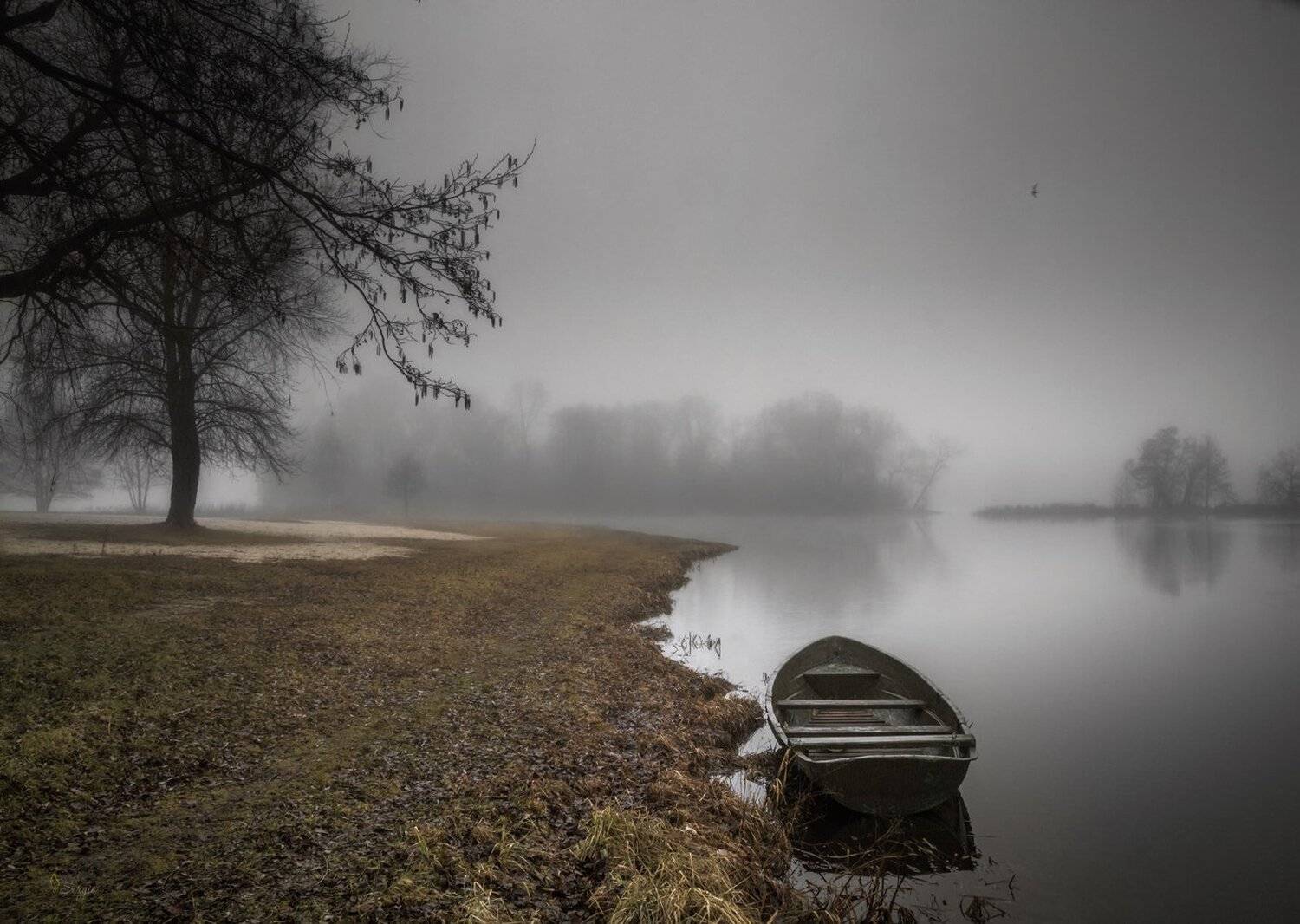 Беларусь, Серж Домбровский